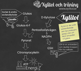 Xylitol ATP